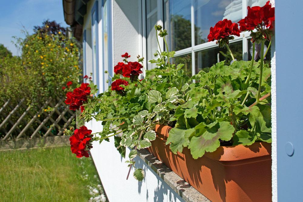 Ferienwohnanlage Bruckner Apartman Rostock Kültér fotó